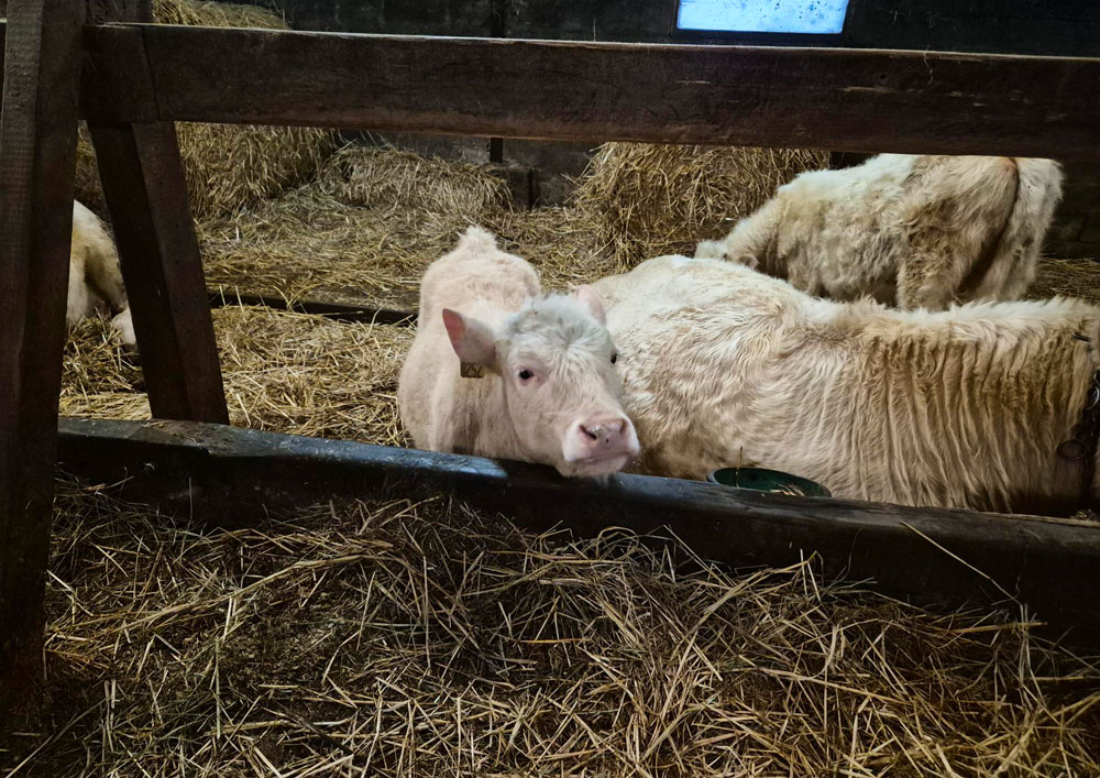 Projet-Marcay-Exploitation